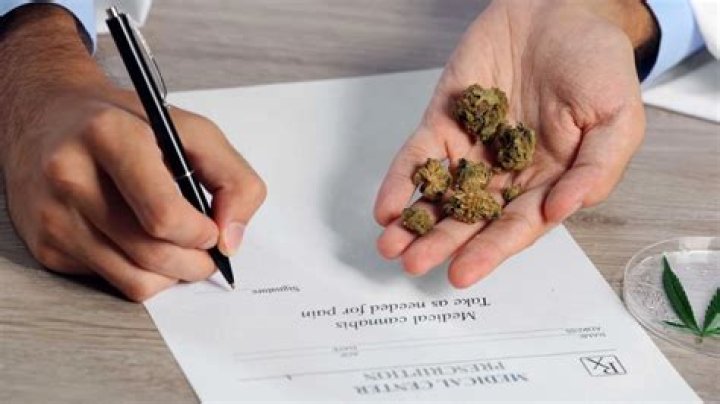 A Haven For Medical Marijuana Connoisseurs