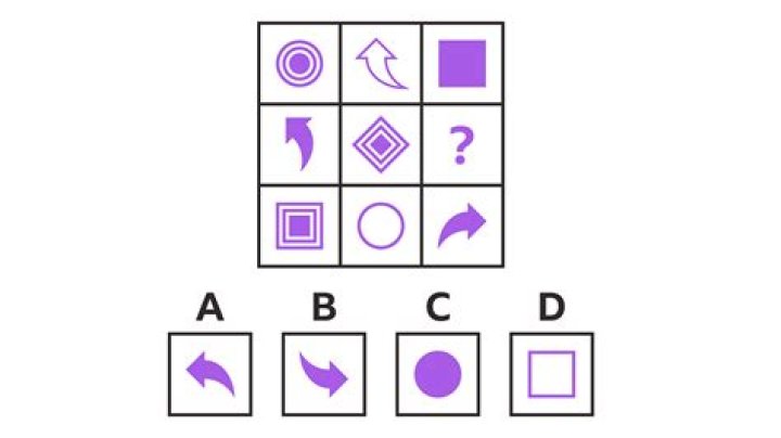 Brain Quizzes