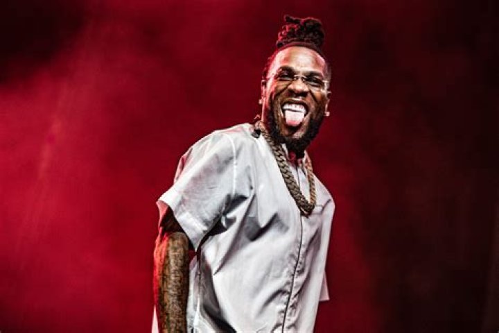 Burna Boy Net Worth 2024 Explore His