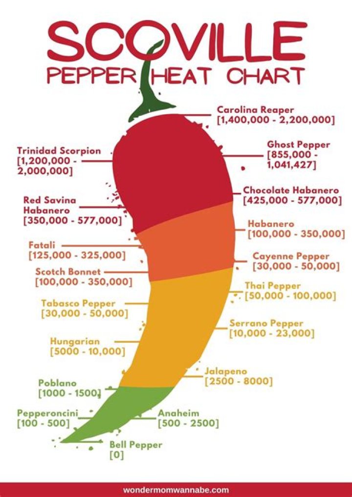 Dr Peppers height comes in at just over 5-feet tall