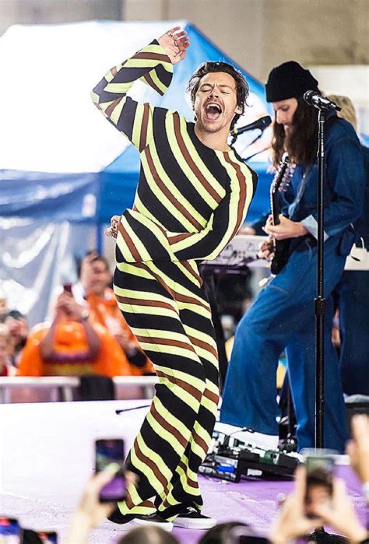 Harry Styles Accidentally Rips Jumpsuit On Stage During Concert Hollywood Life