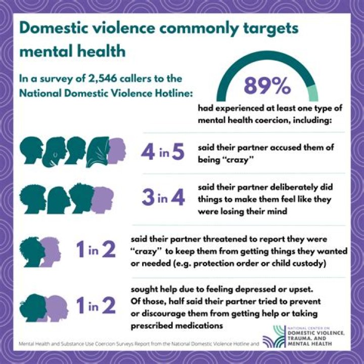Insights Into Domestic Violence, Mental Illness,
