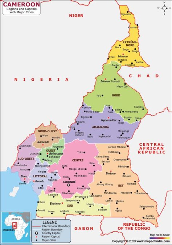 Media Mogul And Political Powerhouse In Cameroon