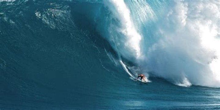 Surfing Pioneer, Innovator, And Legend Unveiled