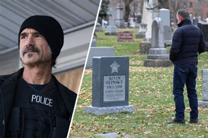 Unveiling The Untimely Demise Of A Chicago P.D. Cast Member