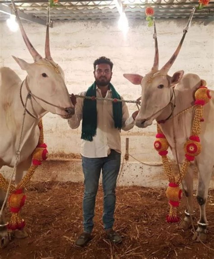 Varthur Santhosh Arrest: Unraveling The Mystery